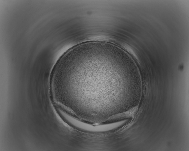 X0000089941087200707061055