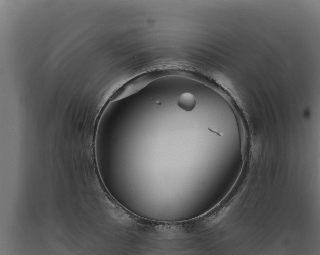 X0000089941089200707061055