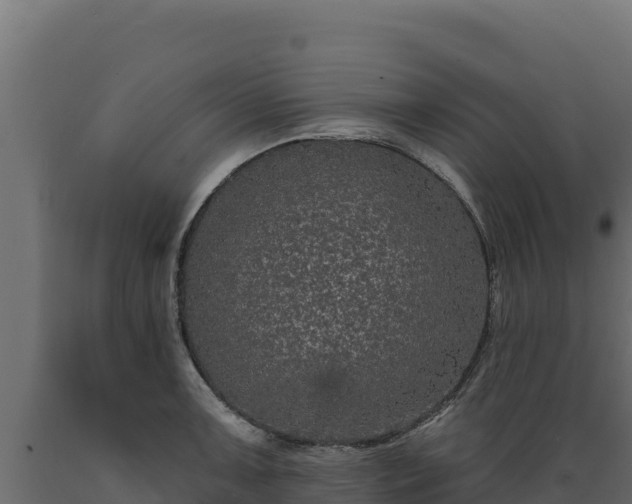 X0000089941091200707061055