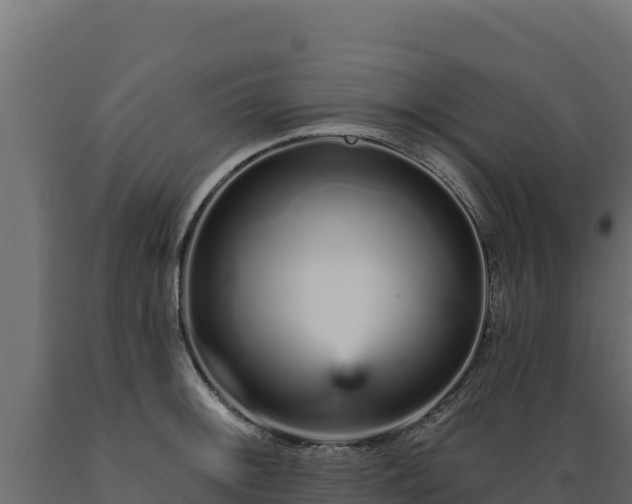 X0000089941092200707061055