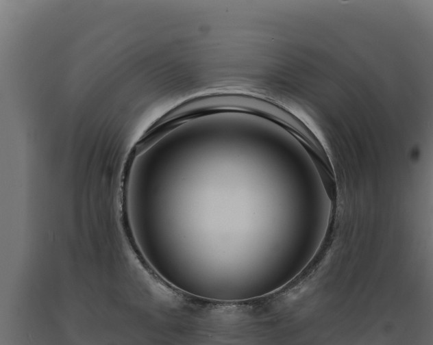 X0000089941093200707061055