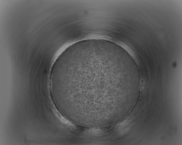 X0000089941094200707061055