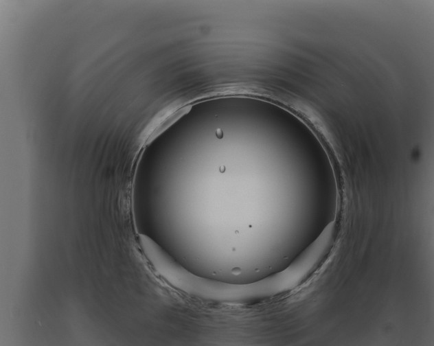 X0000089941097200707061055