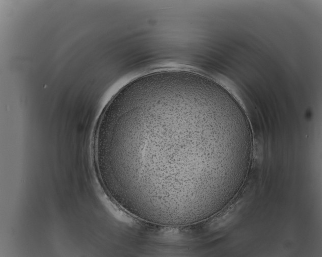 X0000089941098200707061055