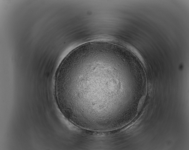 X0000089941099200707061055