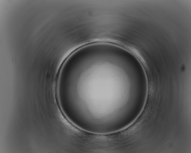 X0000089941100200707061055