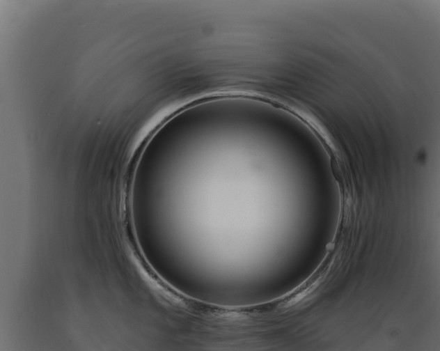 X0000089941101200707061055