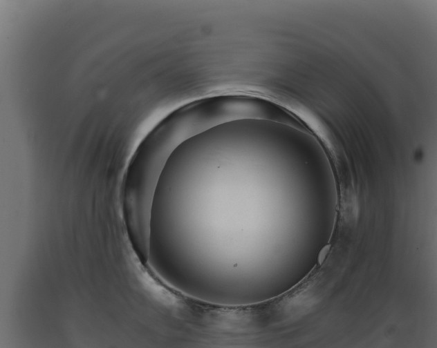 X0000089941102200707061055