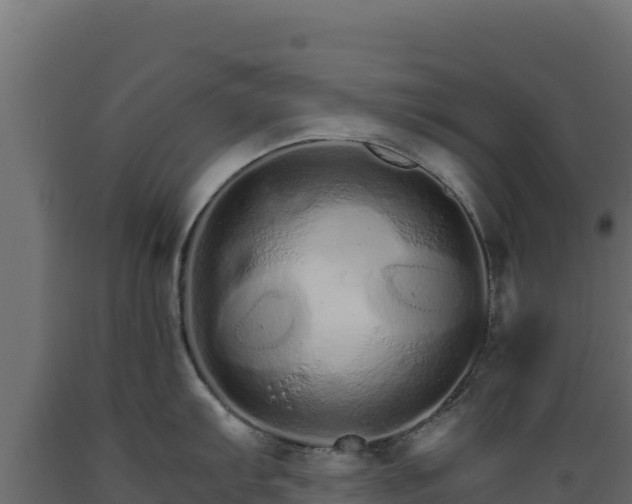 X0000089941103200707061055