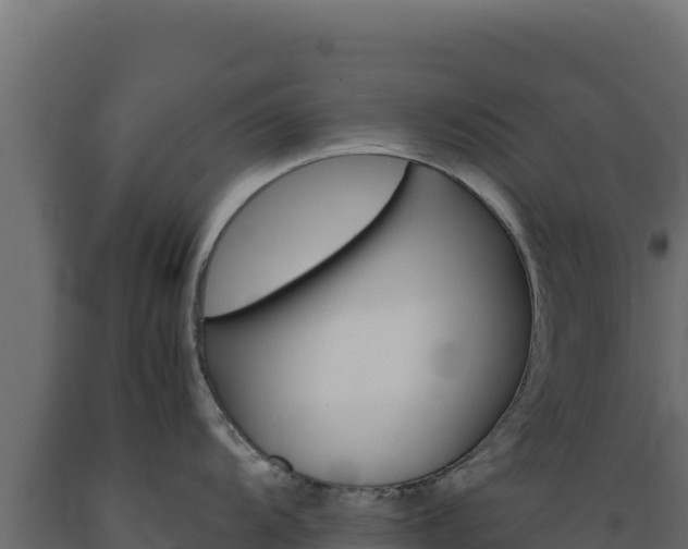 X0000089941104200707061055