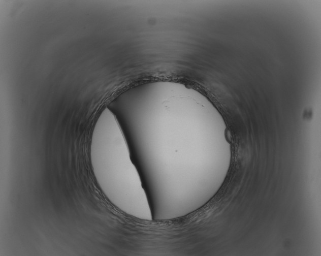 X0000089941106200707061054