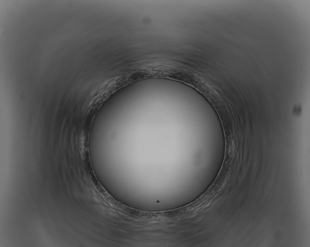 X0000089941108200707061054