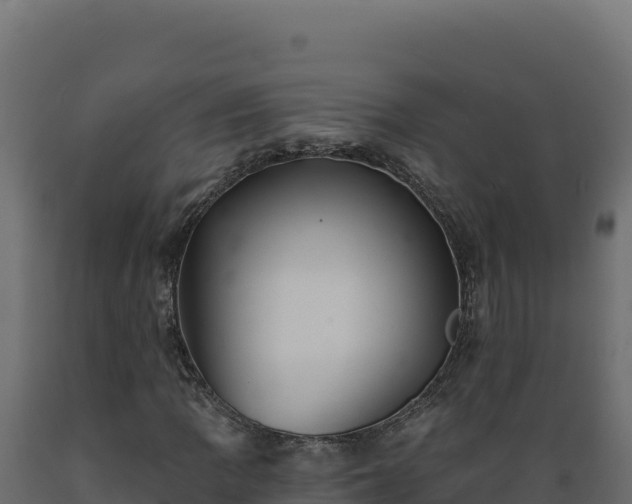 X0000089941109200707061054