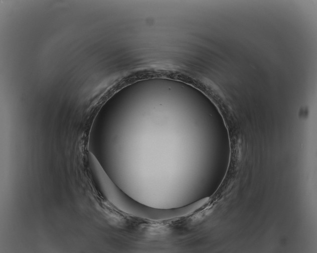 X0000089941110200707061054