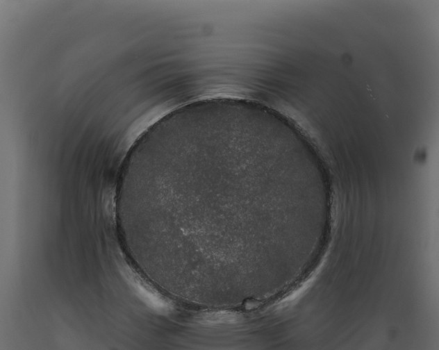 X0000089941113200707061054