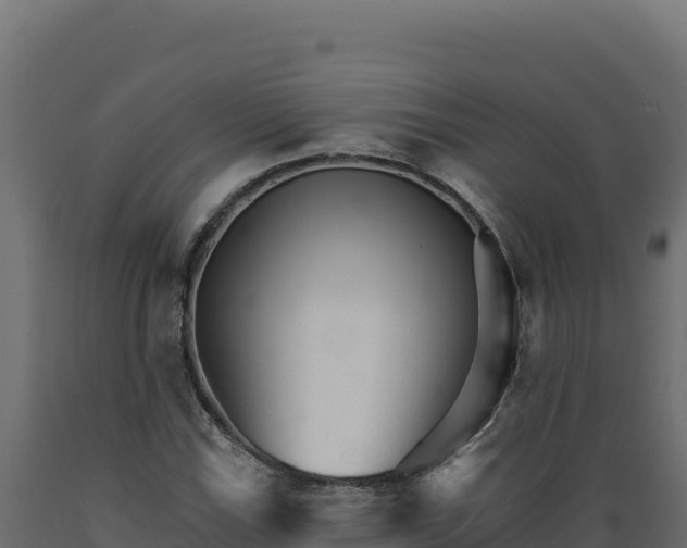 X0000089941115200707061054