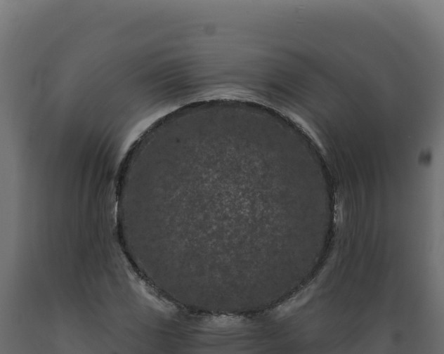 X0000089941117200707061054