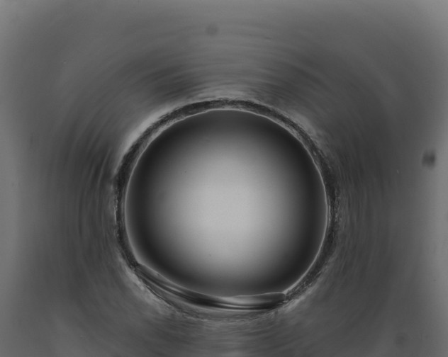 X0000089941118200707061055