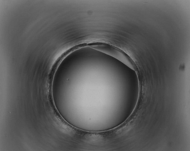 X0000089941119200707061055