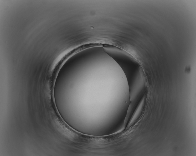 X0000089941120200707061055