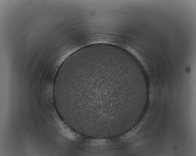 X0000089941121200707061055