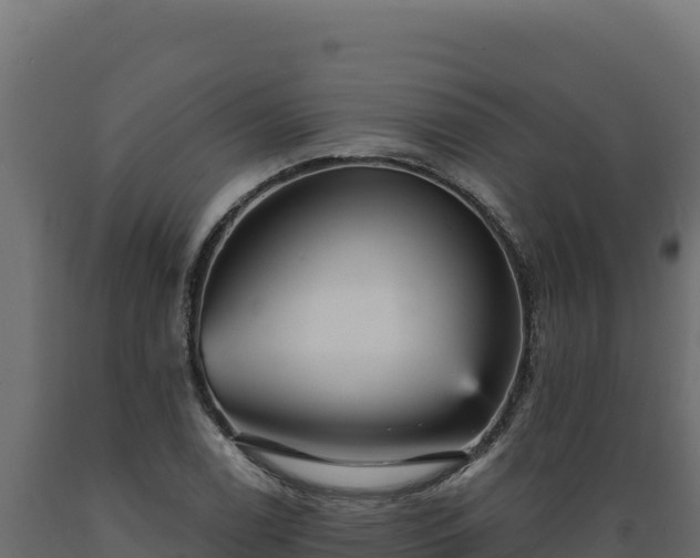 X0000089941122200707061055