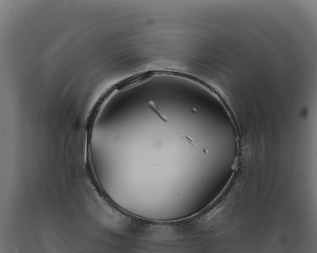 X0000089941123200707061055