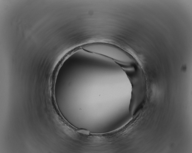 X0000089941124200707061055