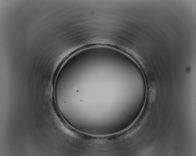 X0000089941125200707061055