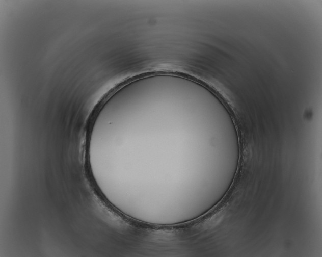 X0000089941126200707061055