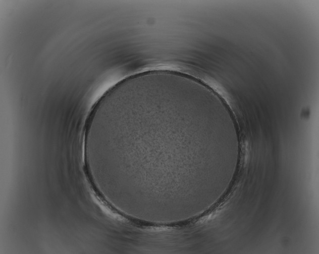 X0000089941127200707061055