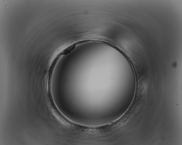 X0000089941128200707061055