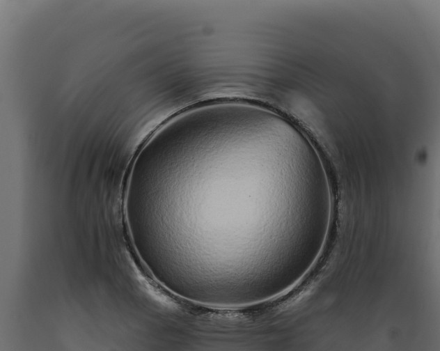 X0000089941129200707061055