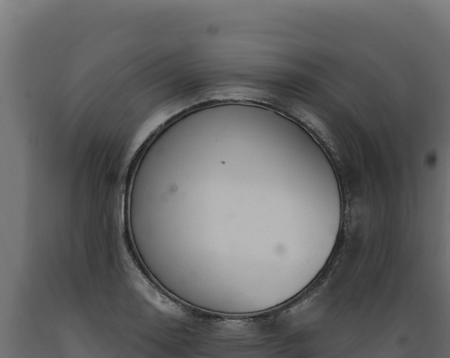 X0000089941130200707061055