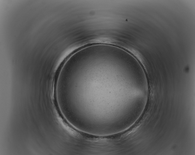 X0000089941131200707061055