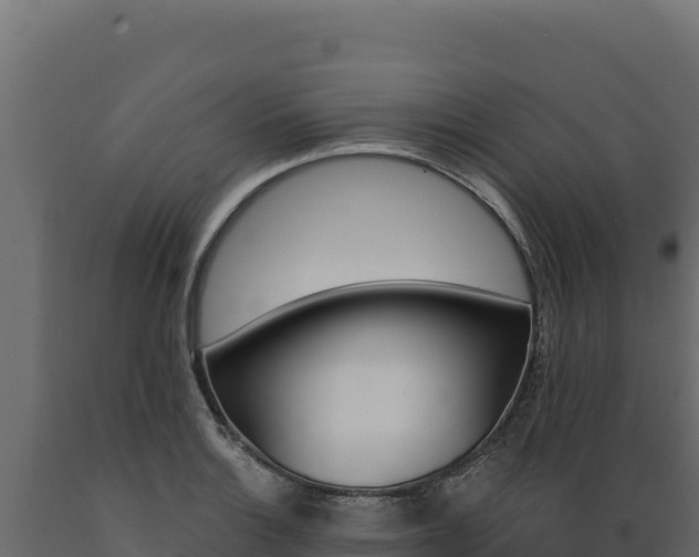 X0000089941132200707061055