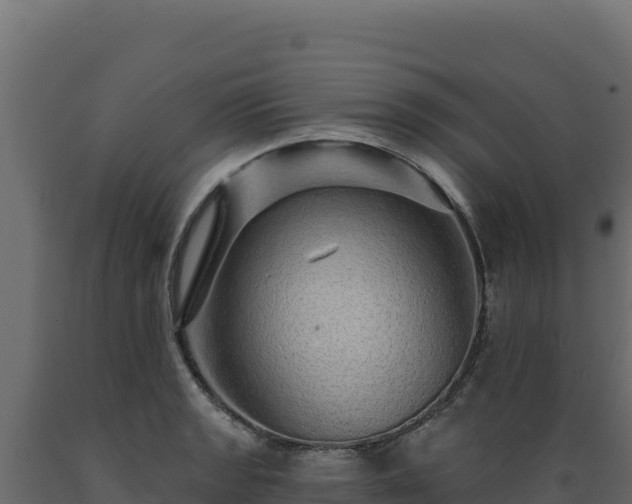 X0000089941133200707061055