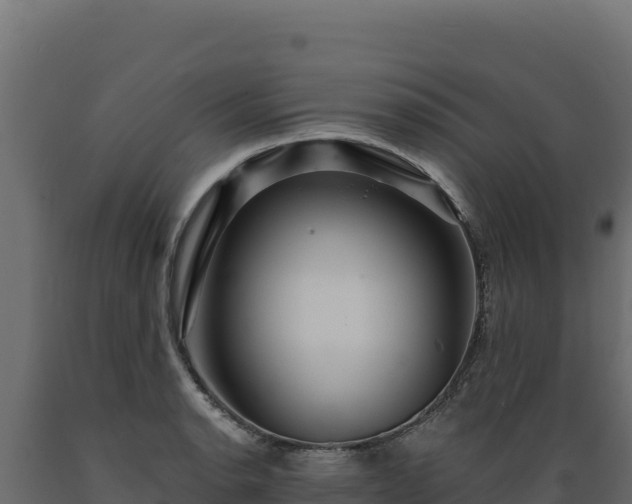 X0000089941134200707061055