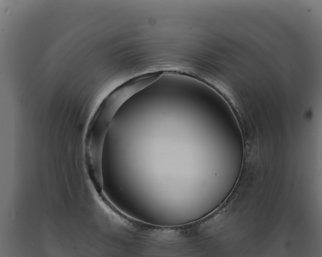 X0000089941135200707061055