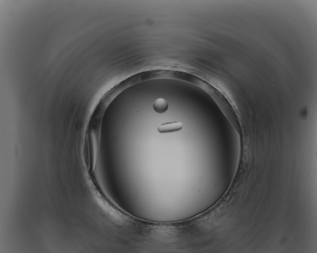 X0000089941136200707061055