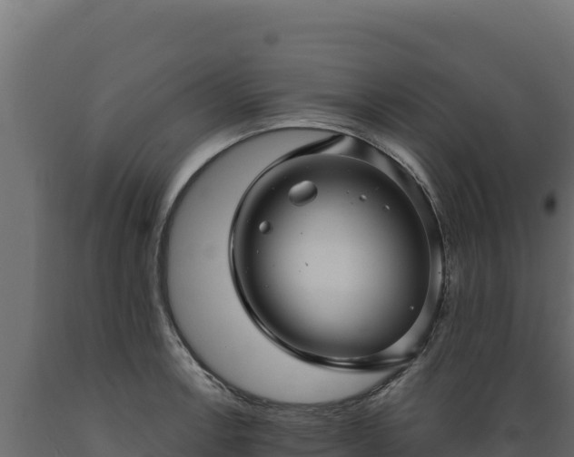 X0000089941138200707061055