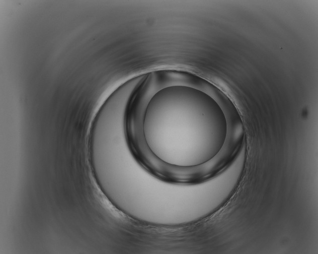 X0000089941140200707061055