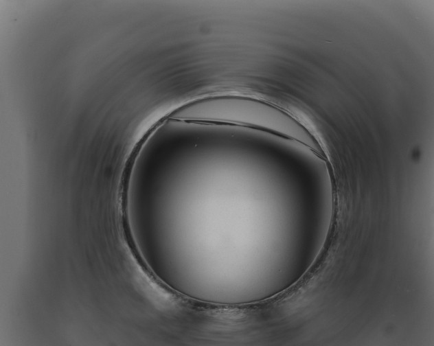 X0000089941141200707061055