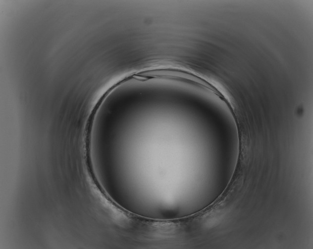 X0000089941142200707061055