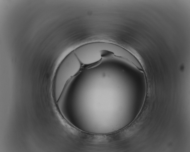 X0000089941144200707061055