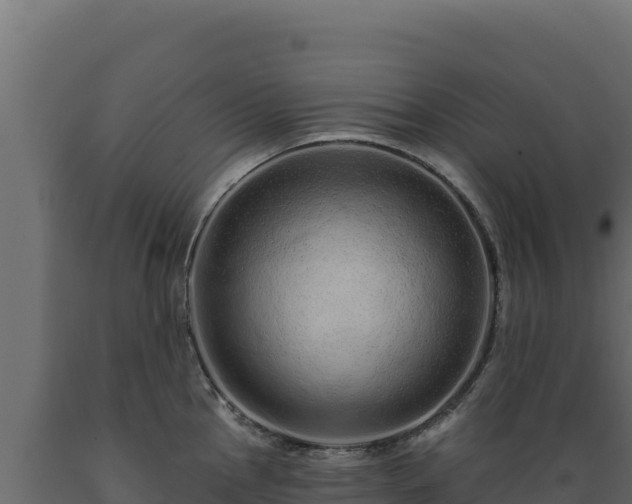 X0000089941145200707061055