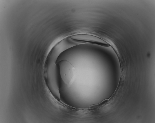 X0000089941146200707061055