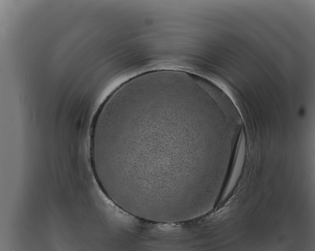 X0000089941147200707061055