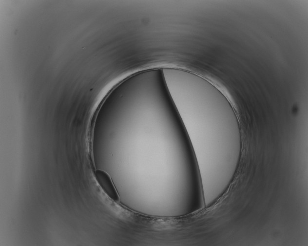 X0000089941148200707061055