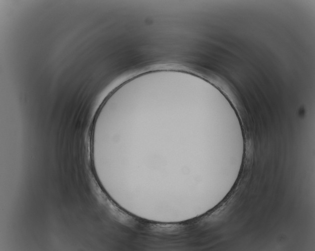 X0000089941150200707061055